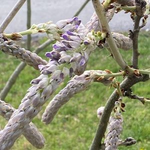 Meet your Posher, Kelli